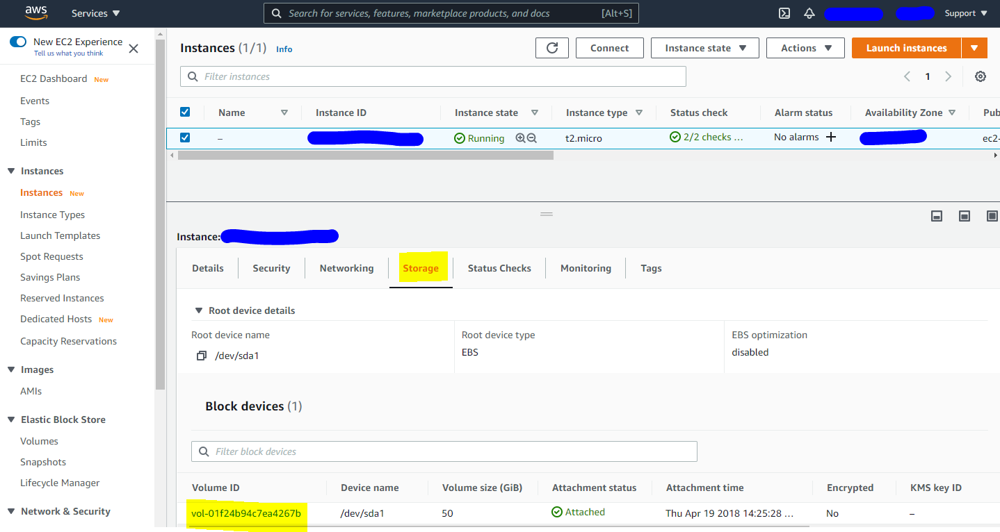 EC2 instance storage details with the volume ID highlighted